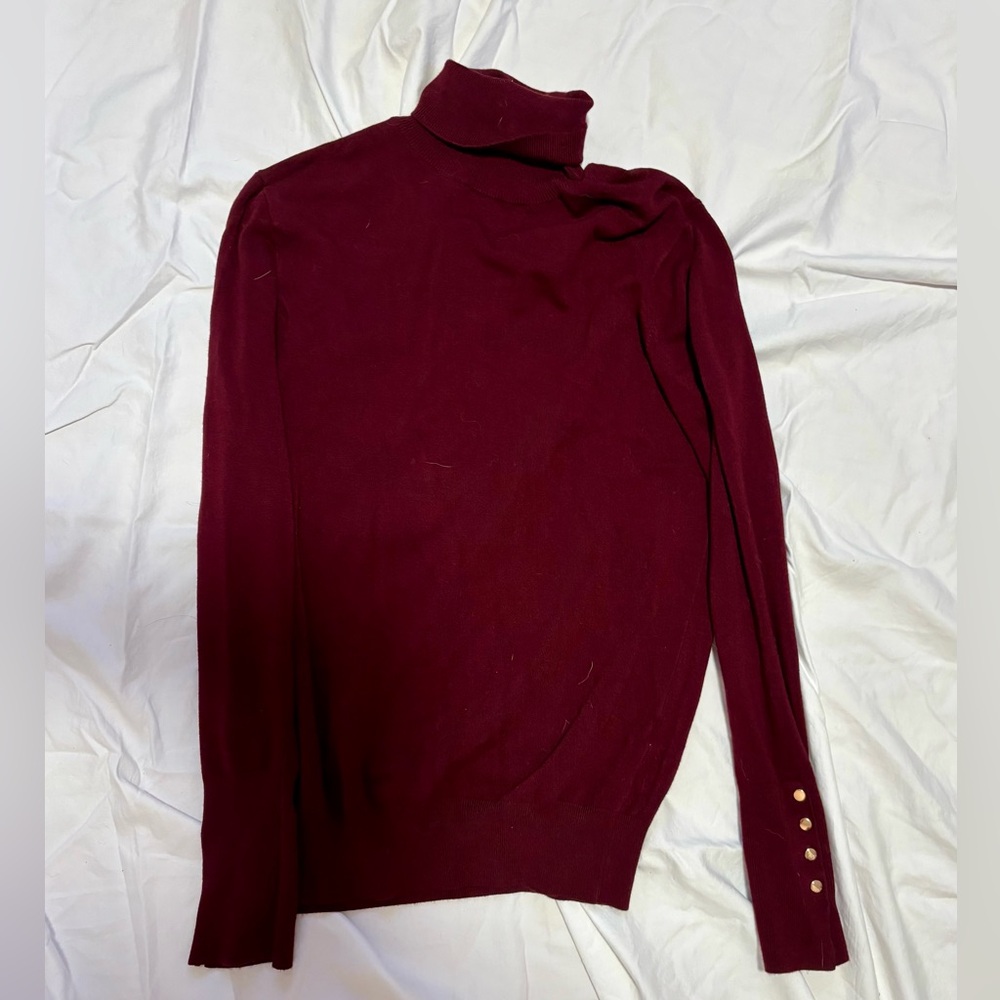 Zara Maroon Turtle Neck Sweater